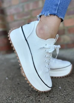 23731-41