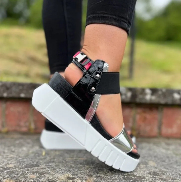 CX2426