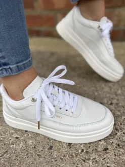 Modern Court Sneaker Lthr